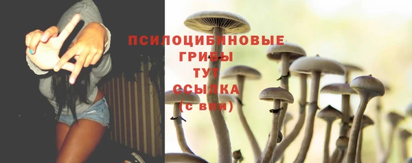 тгк Алексеевка