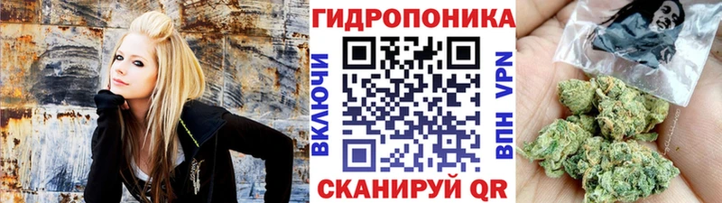 Конопля OG Kush Мантурово